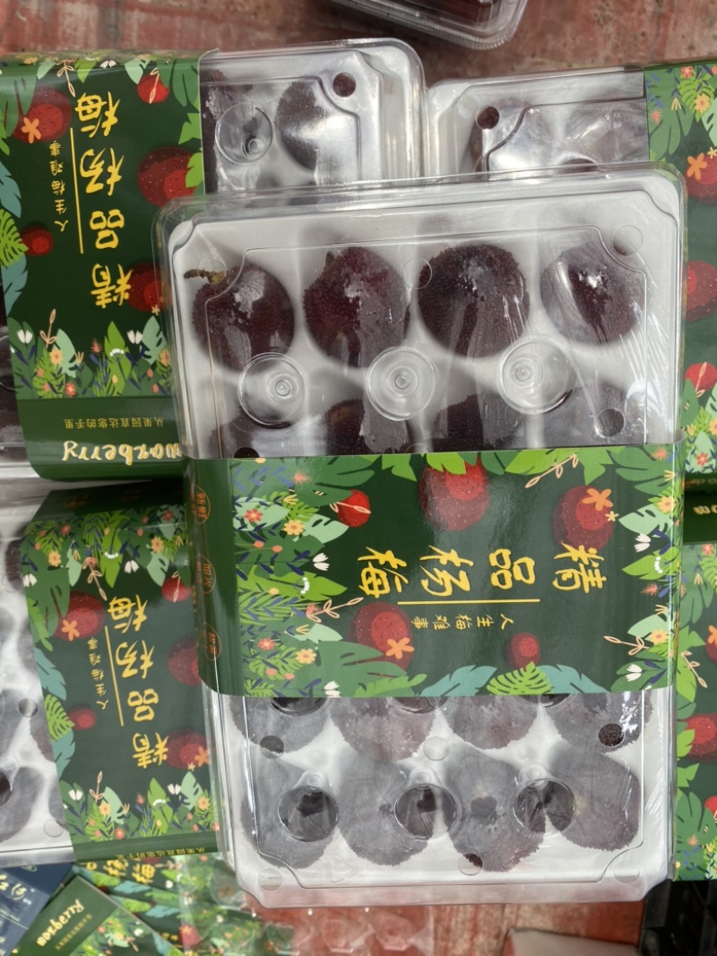 杨梅。早梅中梅荸荠梅硬丝东魁