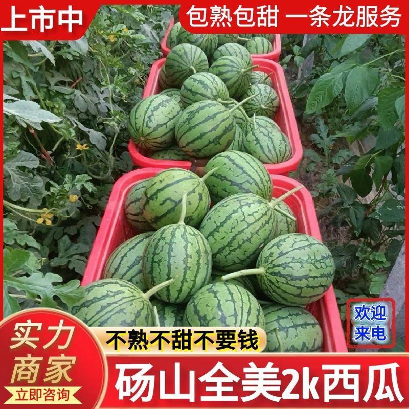 《全美2K西瓜》砀山2K西瓜/礼品西瓜/手剥西瓜/冰淇淋西瓜
