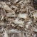 当归全当归无硫片产地甘肃省地道药材紫轩堂药业