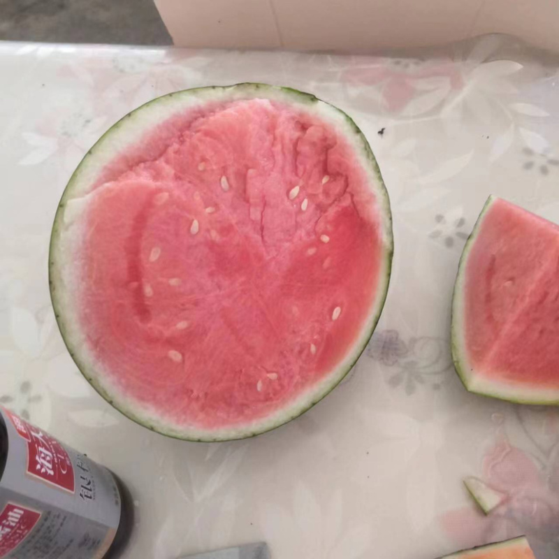 推荐甘美4k西瓜产地直发质量保证价格不高