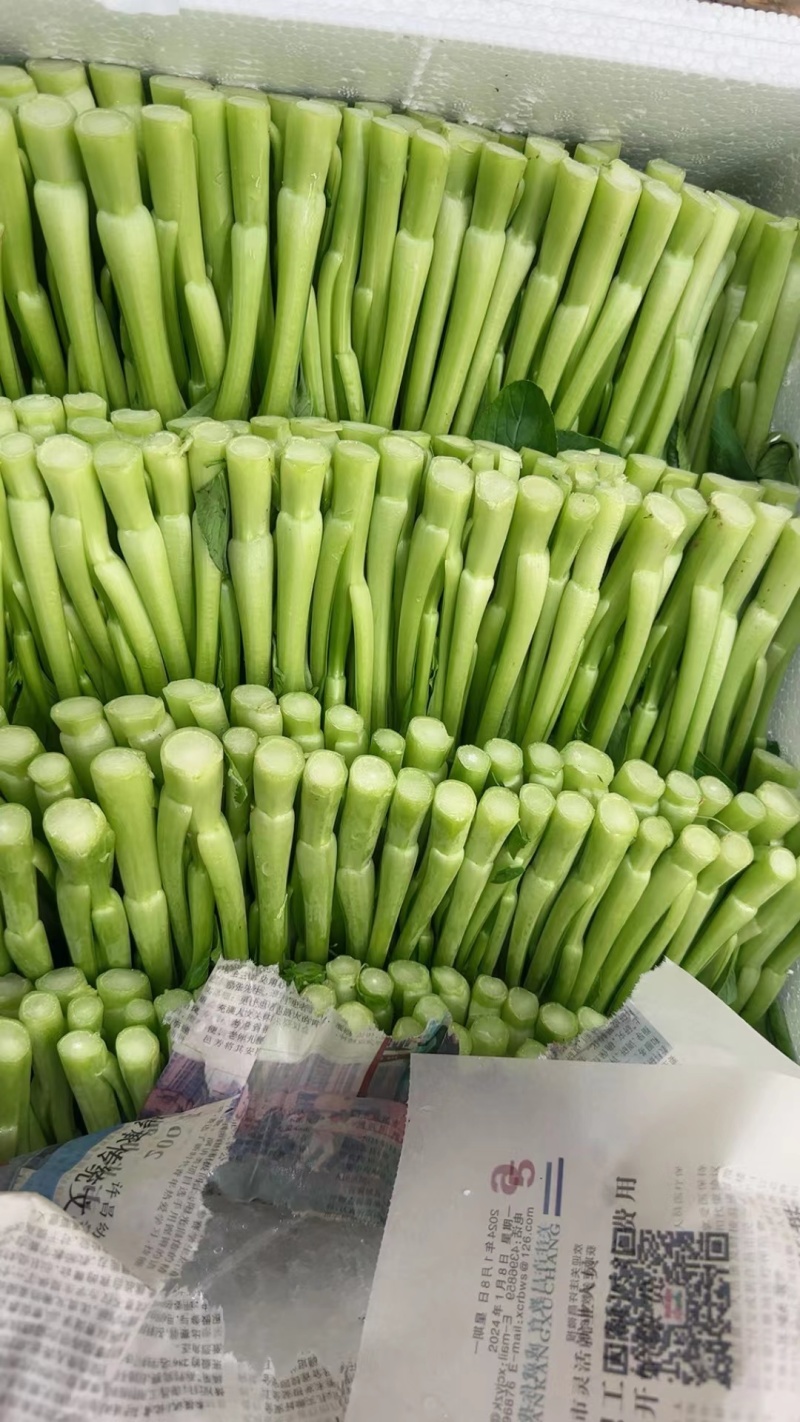 湖北精品甜菜心大量上市品质保证量大从优一手货源