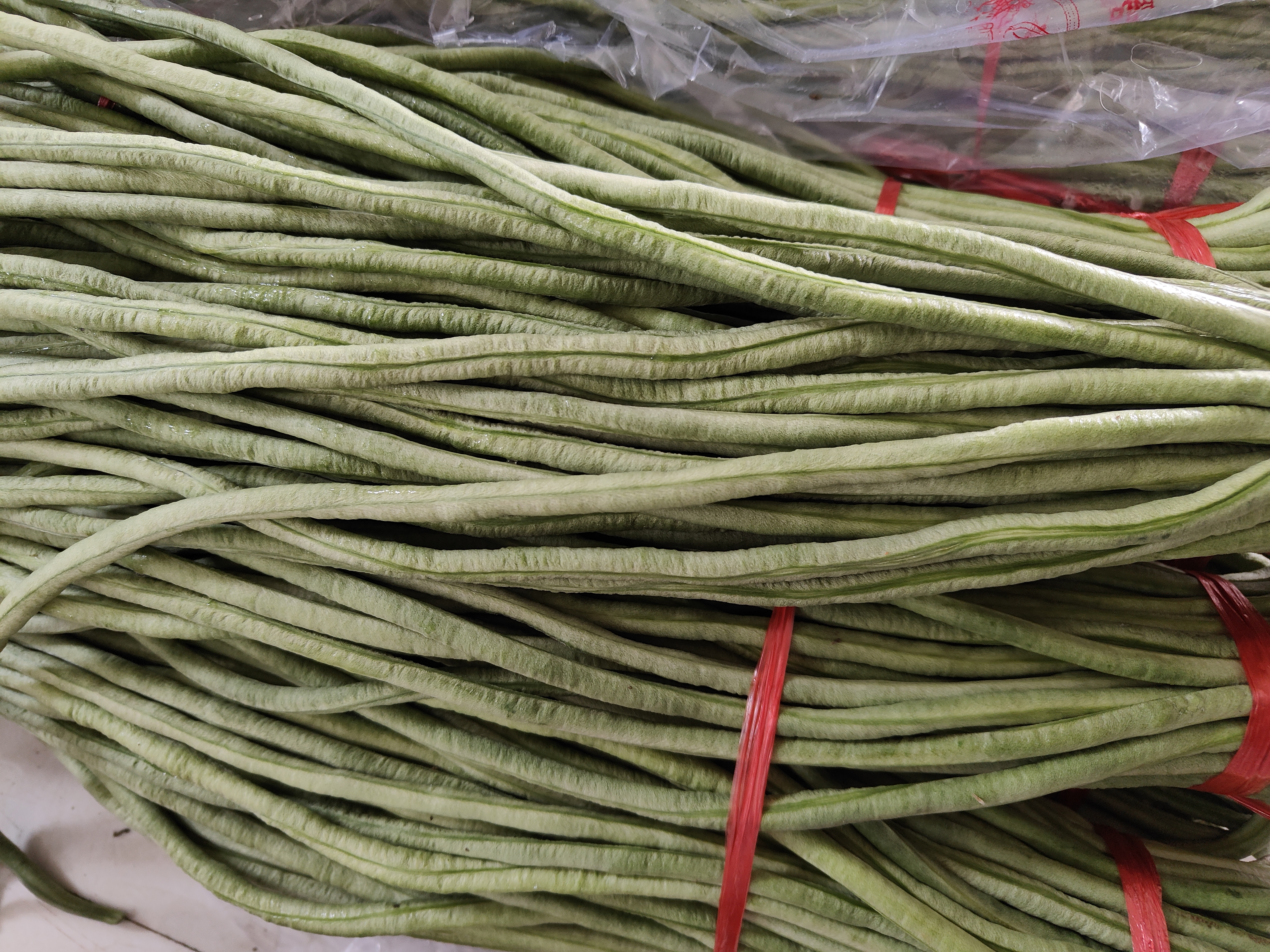 新鲜采摘的豆角特写