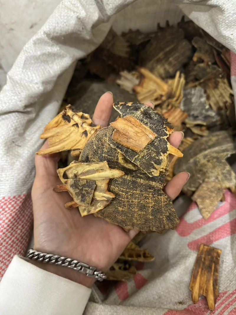 炒鳖甲灸鳖甲制鳖甲实拍现货甲鱼壳发货如图