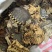 炒鳖甲灸鳖甲制鳖甲实拍现货甲鱼壳发货如图