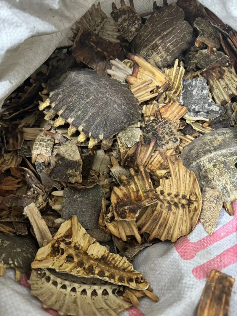 炒鳖甲灸鳖甲制鳖甲实拍现货甲鱼壳发货如图