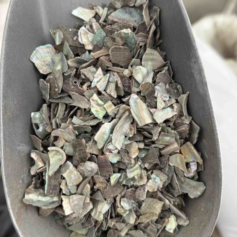 石决明石决明颗粒另有石决明粉实拍现货