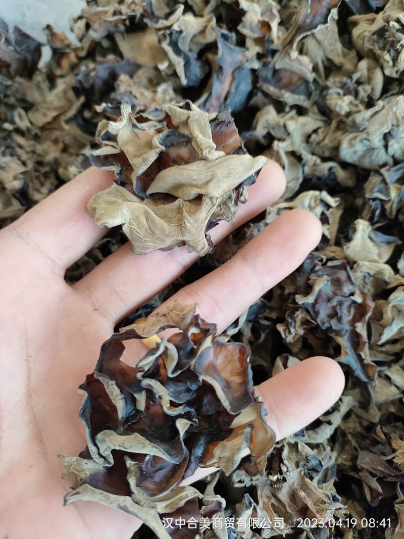 黑木耳次品木耳，制药厂用料
