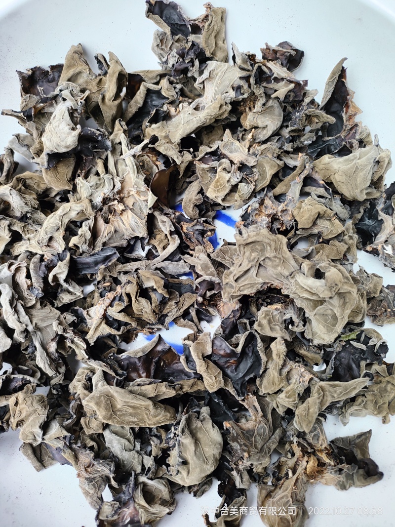 黑木耳次品木耳，制药厂用料