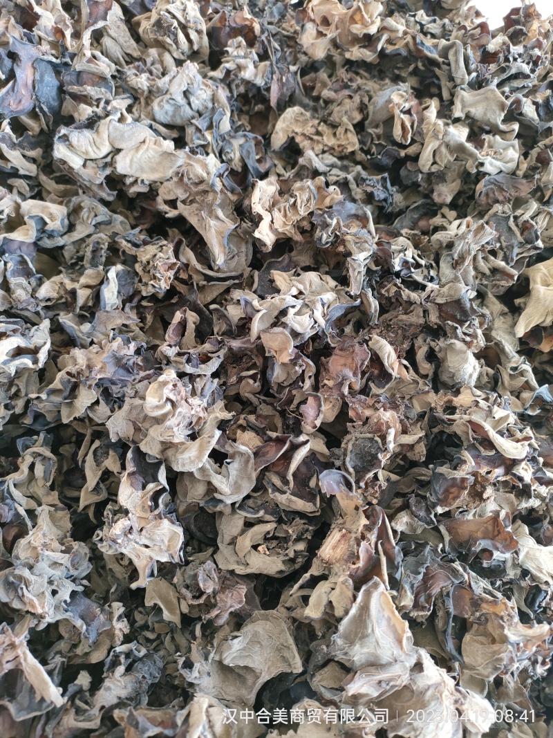 黑木耳次品木耳，制药厂用料