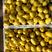 安徽黄油桃精品中油系列油桃承接商超社团电商代收代发全国