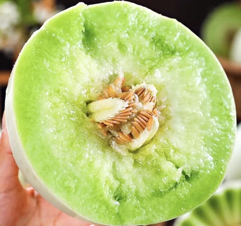 【热卖】莘县冰淇淋玉菇甜瓜精品甜瓜保质诚信经营