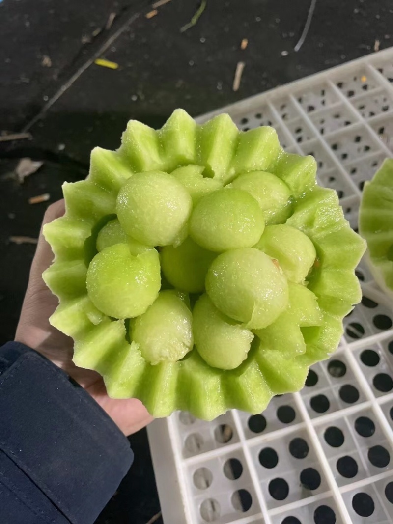 【热卖】莘县冰淇淋玉菇甜瓜精品甜瓜保质诚信经营