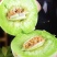 【热卖】莘县冰淇淋玉菇甜瓜精品甜瓜保质诚信经营