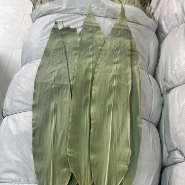 粽叶批发。粽叶一手批发