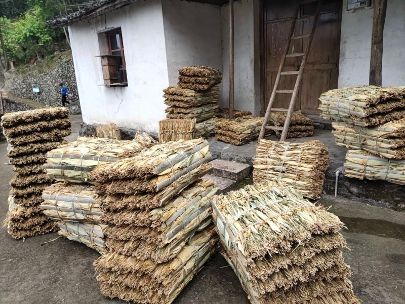 粽叶批发。