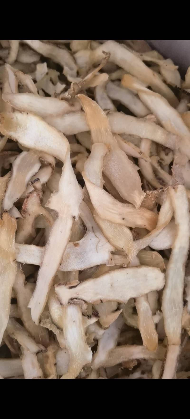 玉竹精选条片无硫地道药材1000g起批关书药业