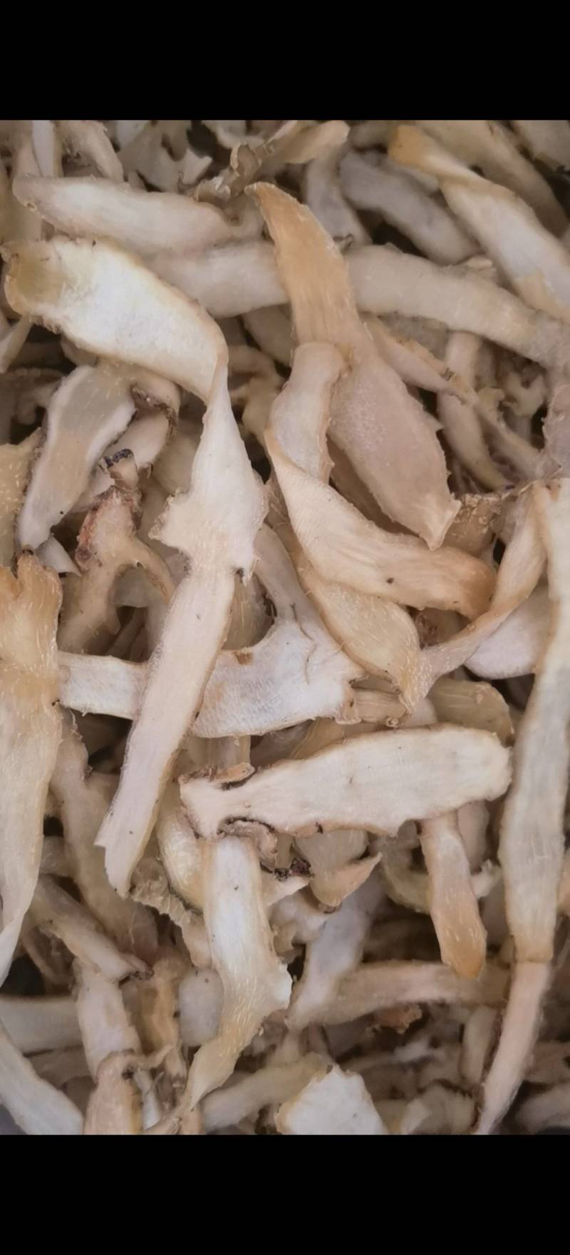 玉竹精选条片无硫地道药材1000g起批关书药业
