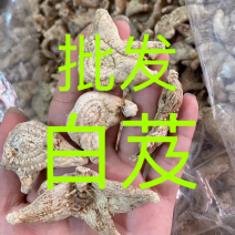 白芨云南白芨干货包邮