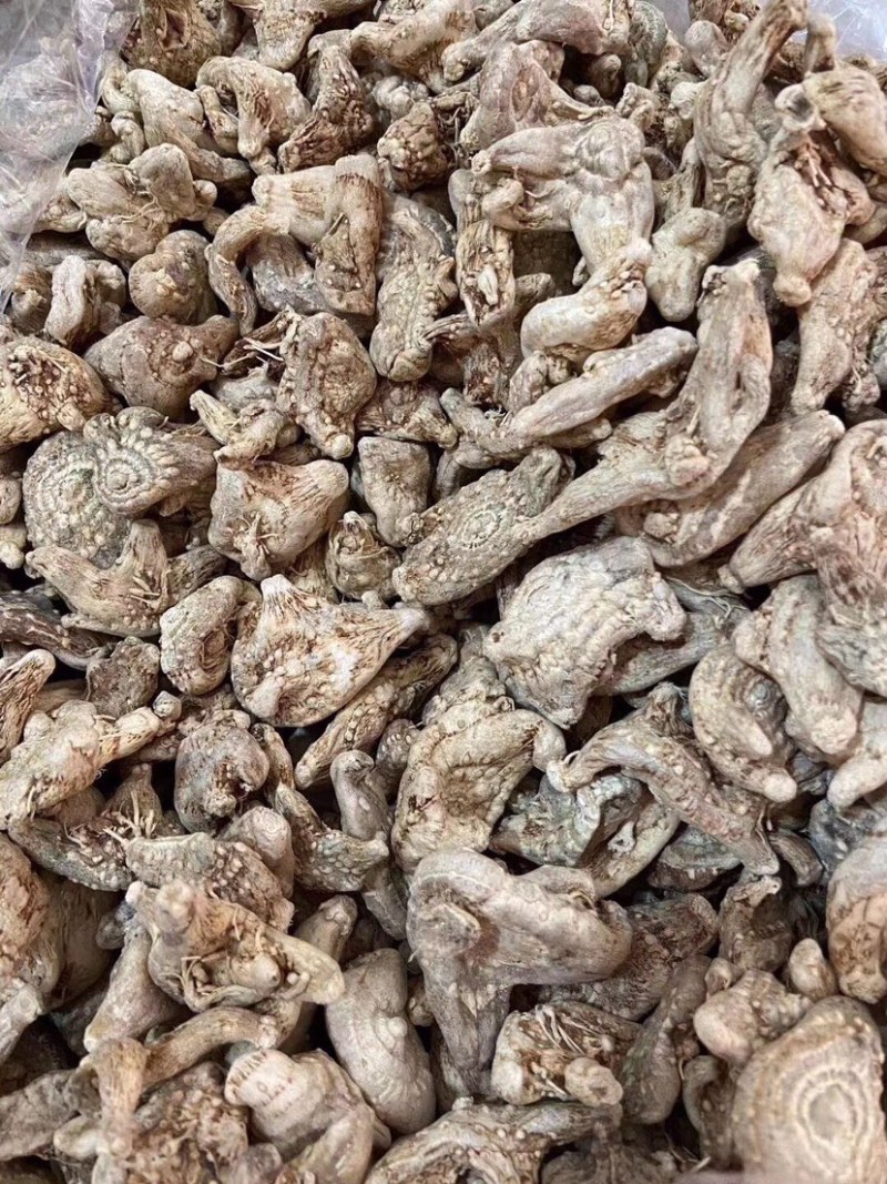 白芨云南白芨干货包邮