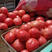 硬粉西红柿大量上市中一手货源量大价优全国代发