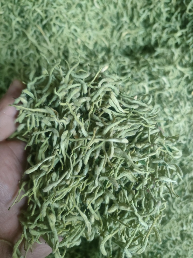 正宗金银花头茬精品晒货开花货药厂货现货30吨