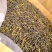 高山茶潮汕浓香型惠来土山茶大坪土山茶潮汕高山茶福建乌龙茶