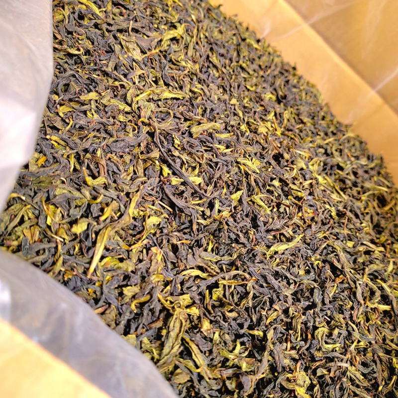 高山茶潮汕浓香型惠来土山茶大坪土山茶潮汕高山茶福建乌龙茶