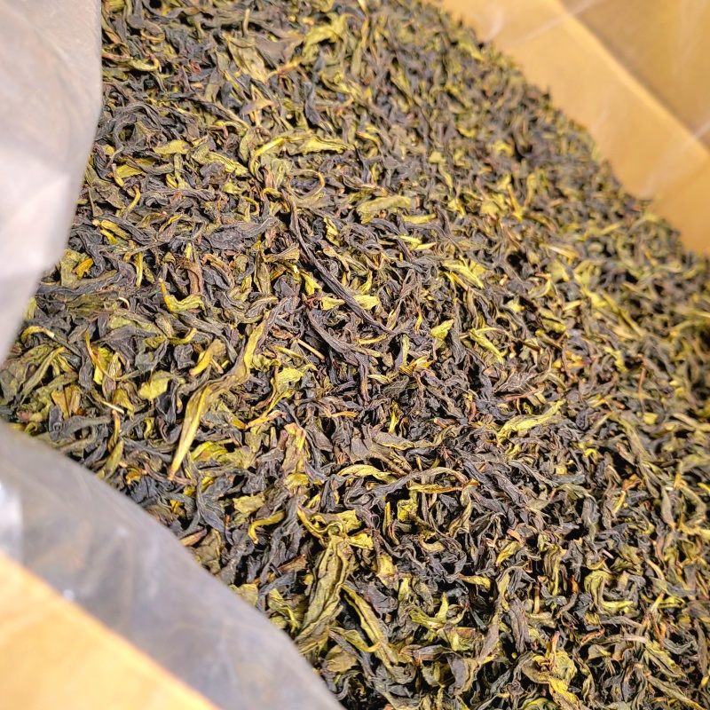 高山茶潮汕浓香型惠来土山茶大坪土山茶潮汕高山茶福建乌龙茶