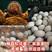 徐州特产，松花蛋，麻壳皮蛋，传统包稻壳，破壳咸鸭蛋