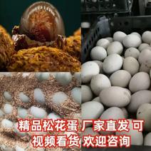 徐州特产，松花蛋，麻壳皮蛋，传统包稻壳，破壳咸鸭蛋