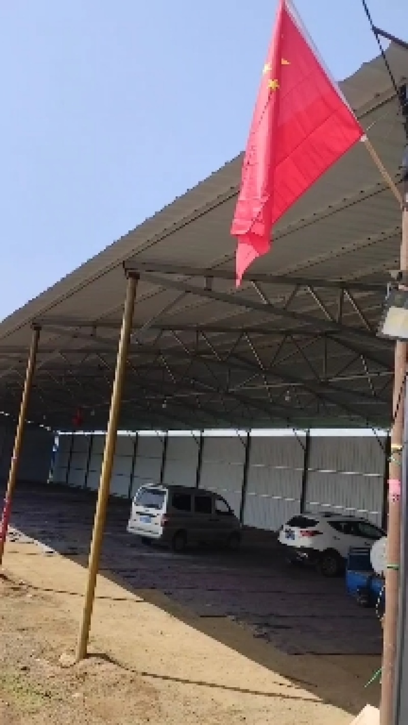 山西茄子产地直发欢迎来电可以看货