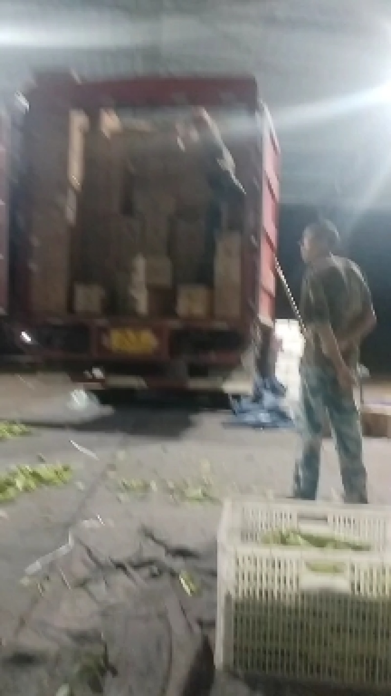 山西茄子产地直发欢迎来电可以看货