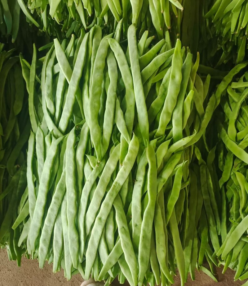 山东聊城绿扁豆油豆角承接商超社团配货货源稳定代收代发