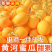 头茬现摘黄河蜜瓜黄金蜜金红宝甜瓜电商一件代发对接各大平台