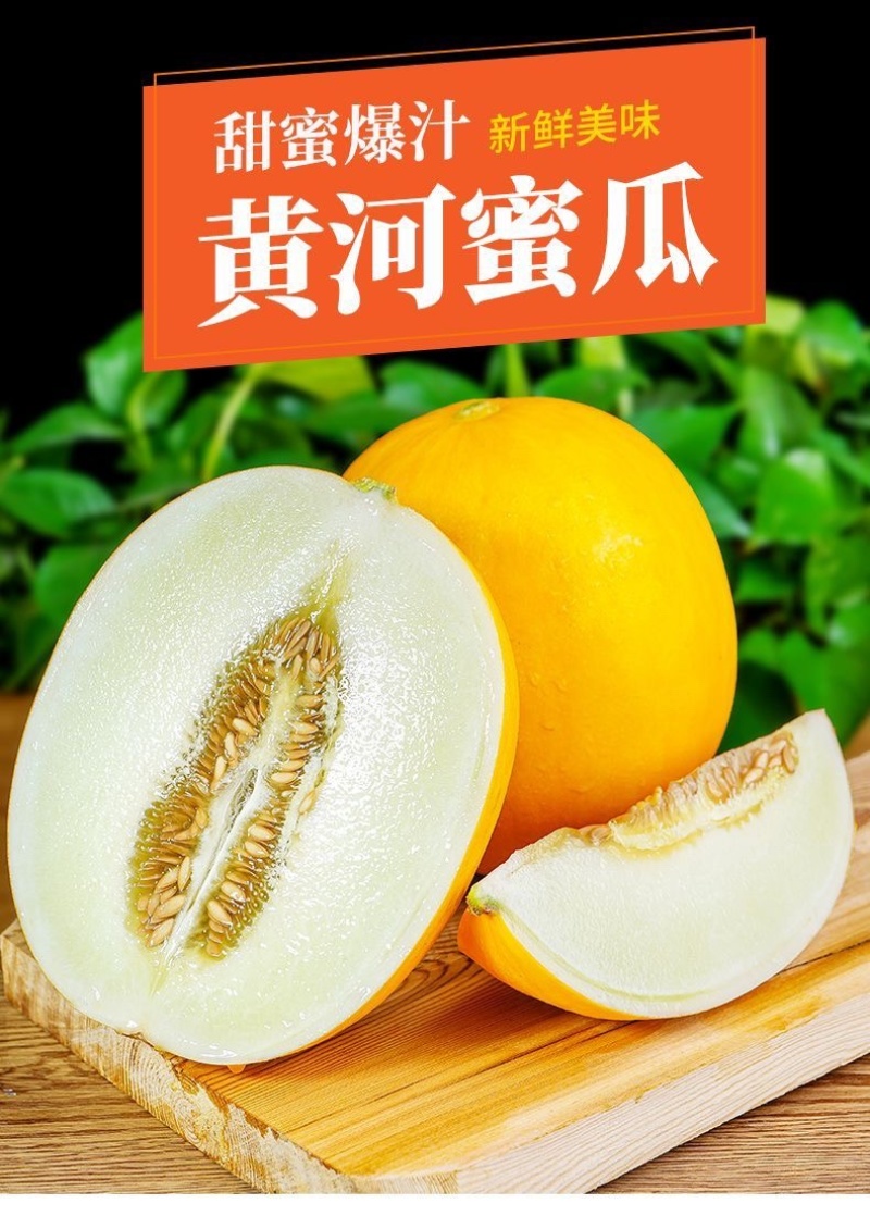 头茬现摘黄河蜜瓜黄金蜜金红宝甜瓜电商一件代发对接各大平台
