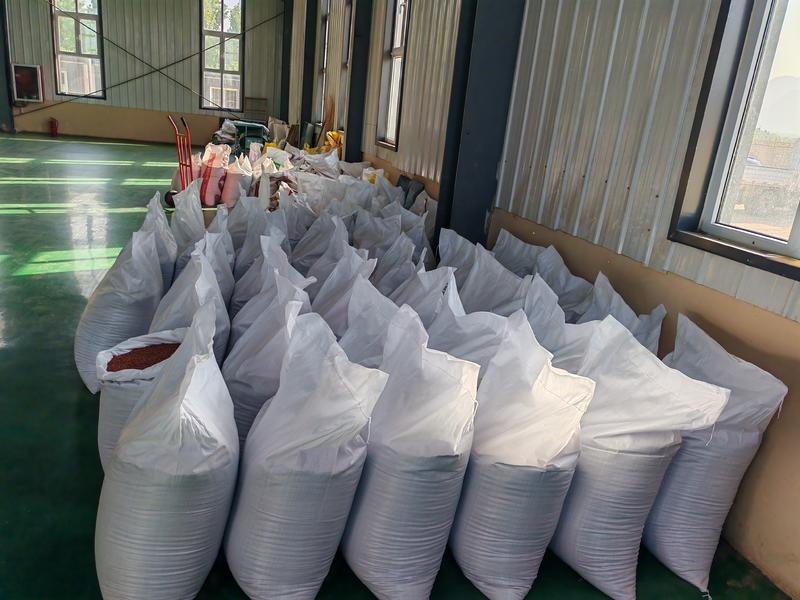 精选内丘酸枣仁原产地种植加工一体质量保证常年供应