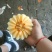 甜红玉甜瓜，白皮红肉，万亩大棚代收代发，龚垒代发货