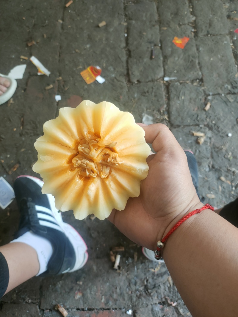 甜红玉甜瓜，白皮红肉，万亩大棚代收代发，龚垒代发货