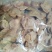 鸡胗，肉食鸡鸡胗，817鸡胗，单冻盒冻都有