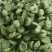 新鲜水果莲蓬新鲜水果莲蓬大量发货全国海南三亚发货