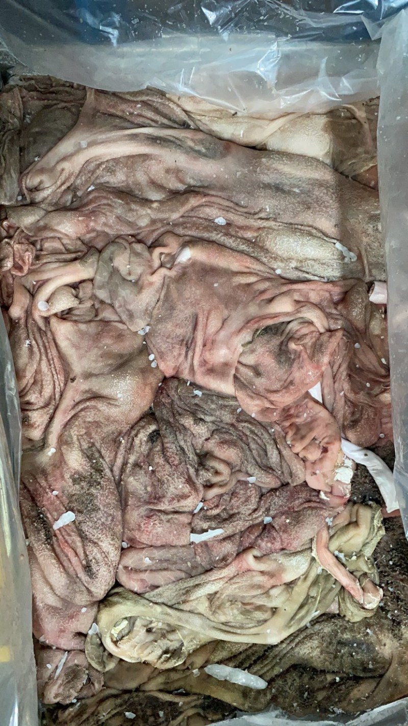 粗洗掉毛羊肚