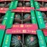 河南商丘美都西瓜大量上市产地直发全国发货量大价优