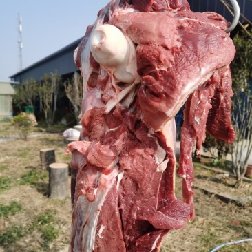 鸵鸟肉