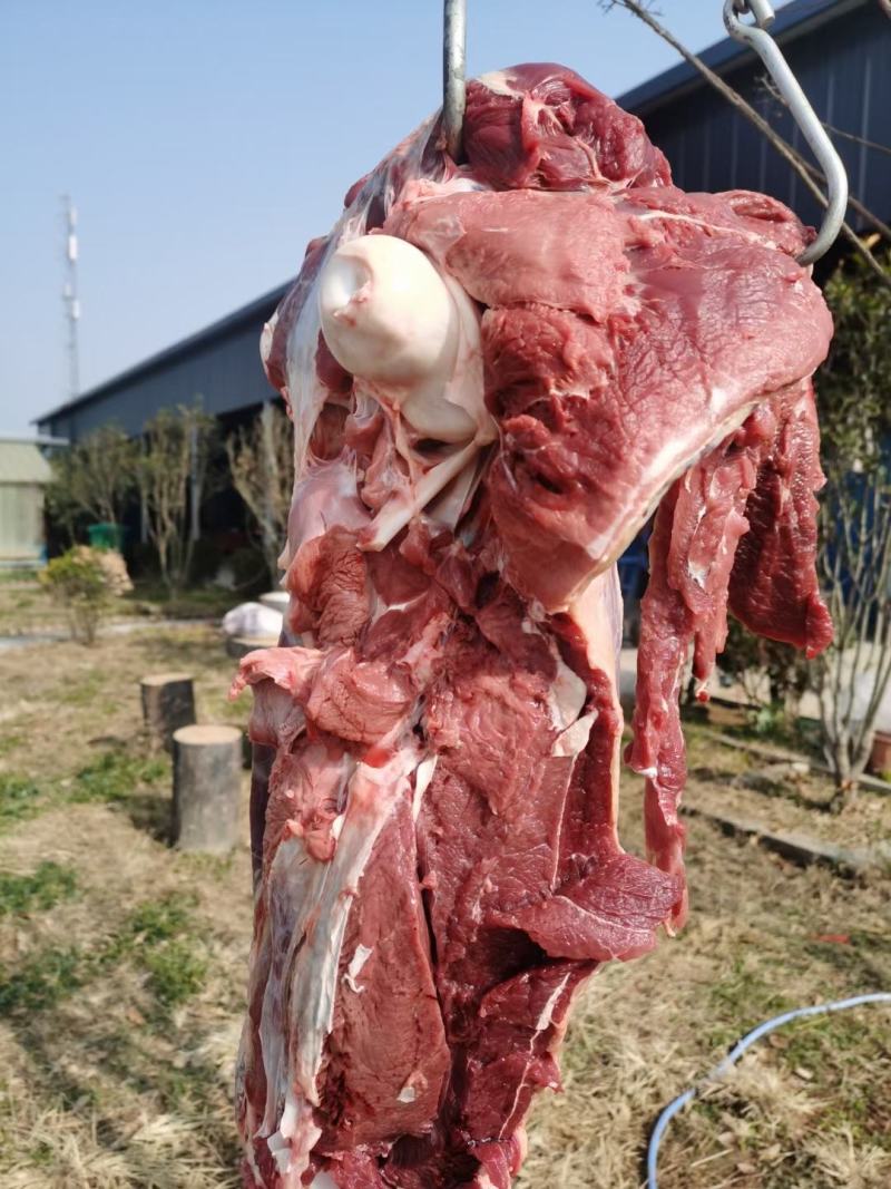 鸵鸟肉
