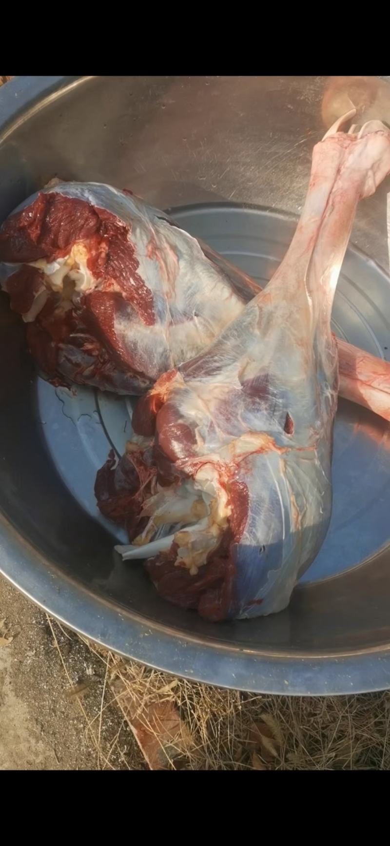 鸵鸟肉