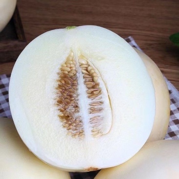 阎良甜瓜