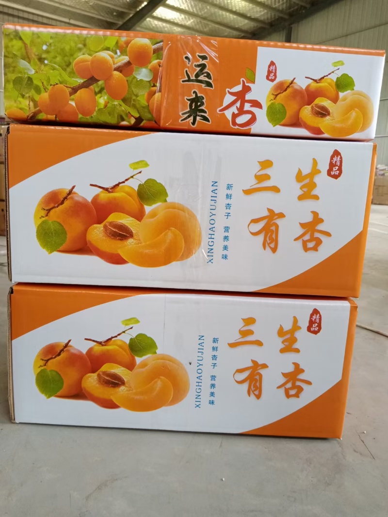大黄杏，贵妃红杏，支持一件代发，电商平台对接发货