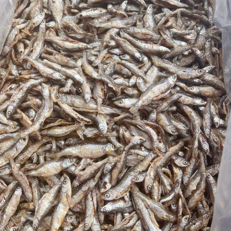 开肚油炸白肖鱼展会地摊电商油炸鱼白条鱼兰刀鱼干干鱼