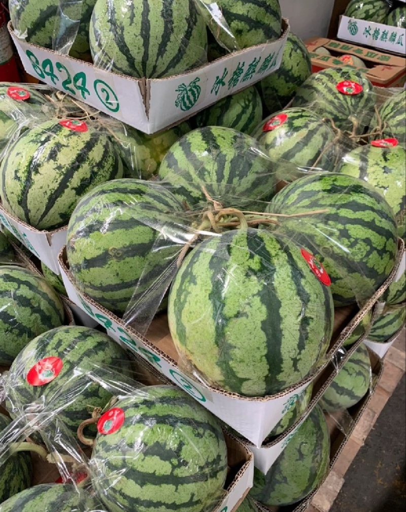 大棚无籽西瓜，自育苗，非嫁接。口感好，糖分高