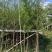 水杉5～10公分基地直销规格齐全欢迎老板来电咨询合作